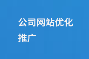 公司網(wǎng)站優(yōu)化推廣